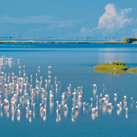MINICROCIERA DA PORTO GARIBALDI ALL'ISOLA DELL'AMORE