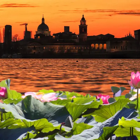 I FIORI DI LOTO E IL TRAMONTO SU MANTOVA