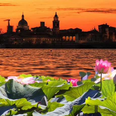 FIORI DI LOTO,  APERICENA  E TRAMONTO SU MANTOVA