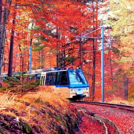 TRENINO DEL FOLIAGE, NOVARA, LOCARNO E VARESE