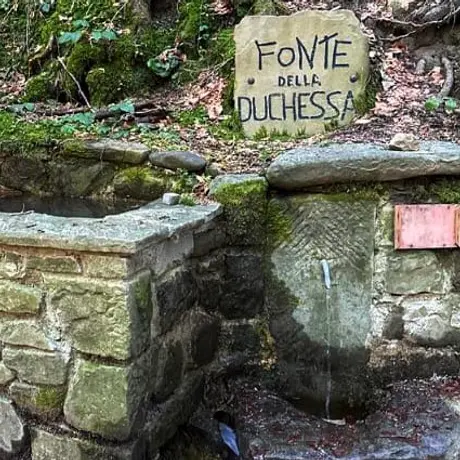 LA FONTE DELLA DUCHESSA E LE CANTINE SEGRETE DEI CAMALDOLESI