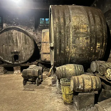 ASSAGGI DIVINI TRA FORESTE, CANTINE E MONASTERI SACRI