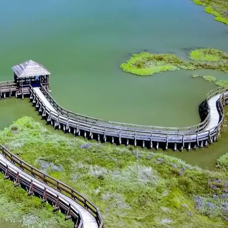 PARCO DEL DELTA DEL PO: L'OASI DI PORTO CALERI E LA GRANDE FOCE