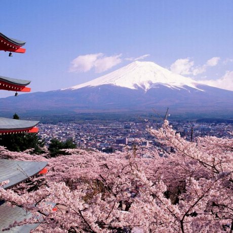 GIAPPONE, IL PAESE DEL SOL LEVANTE