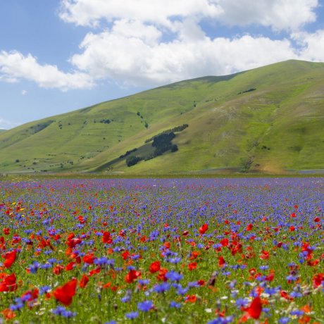 CASTELLUCCIO E RASIGLIA CASTELLUCCIO E RASIGLIA