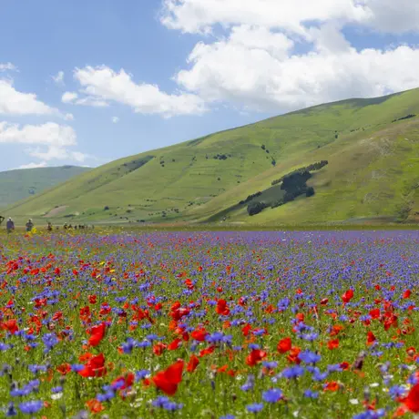 CASTELLUCCIO E RASIGLIA CASTELLUCCIO E RASIGLIA