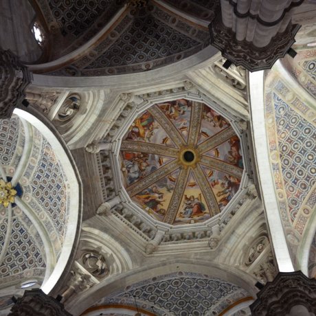 Pavia e la Certosa 2018 Pavia e la Certosa 2018