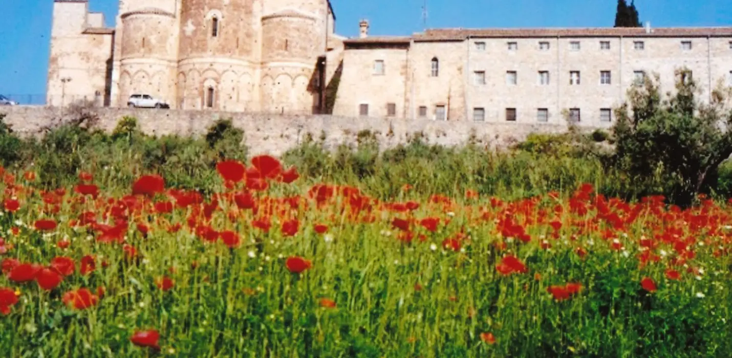LE ISOLE TREMITI, PUNTA  ADERCI E I TRABOCCHI