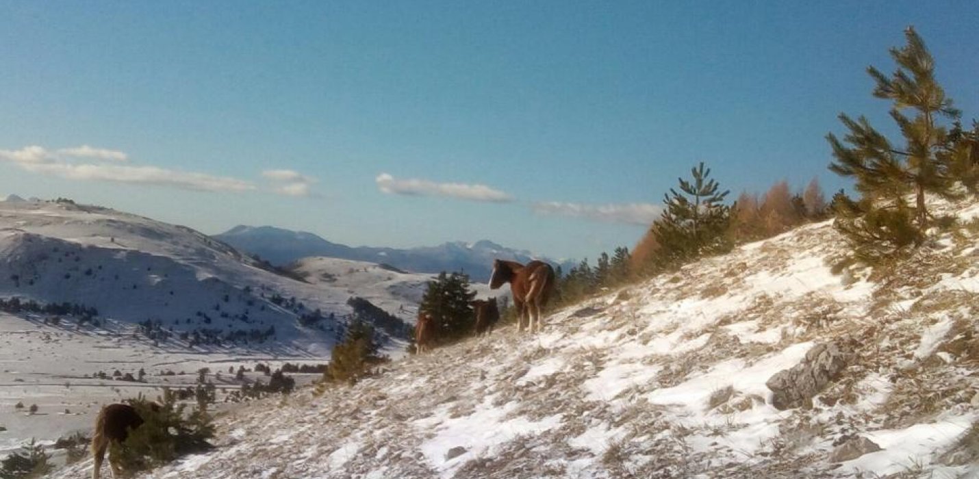 IL PICCOLO TIBET D'ABRUZZO IL PICCOLO TIBET D'ABRUZZO