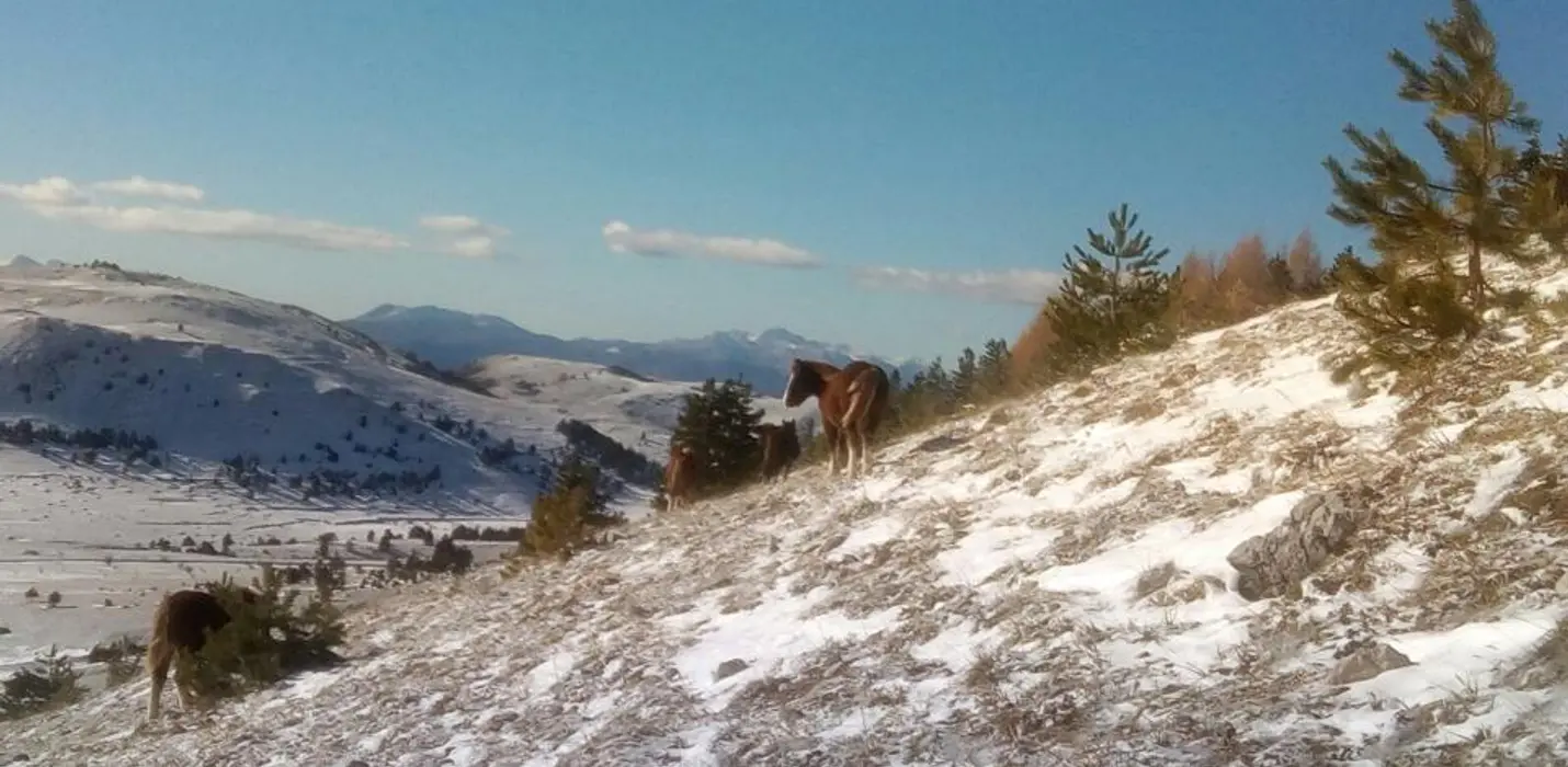 IL PICCOLO TIBET D'ABRUZZO