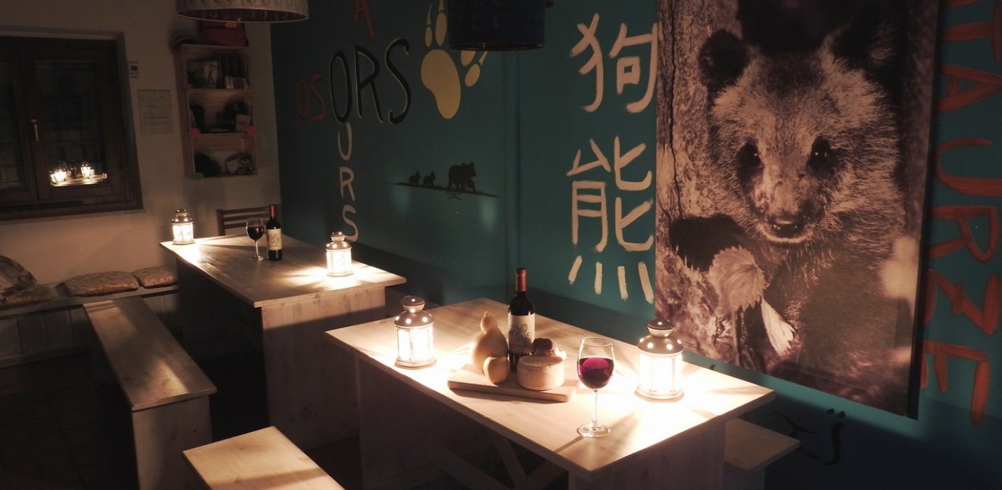 SULLE TRACCE DELL'ORSO MARSICANO