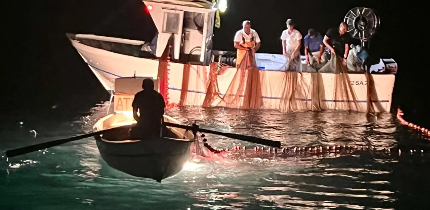 TCI MARINA DI CAMEROTA (SA)