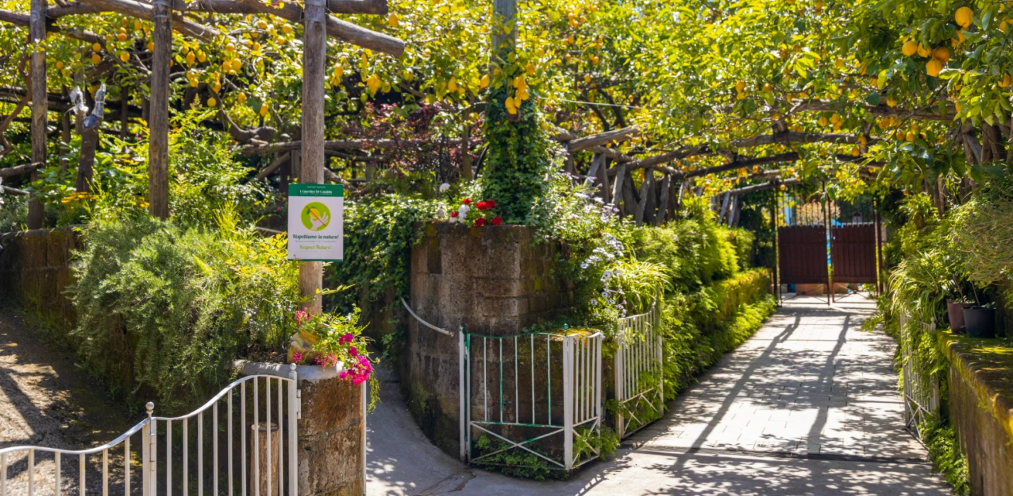 CAPRI, SENTIERO DEGLI DEI, SORRENTO E NAPOLI CAPRI, SENTIERO DEGLI DEI, SORRENTO E NAPOLI