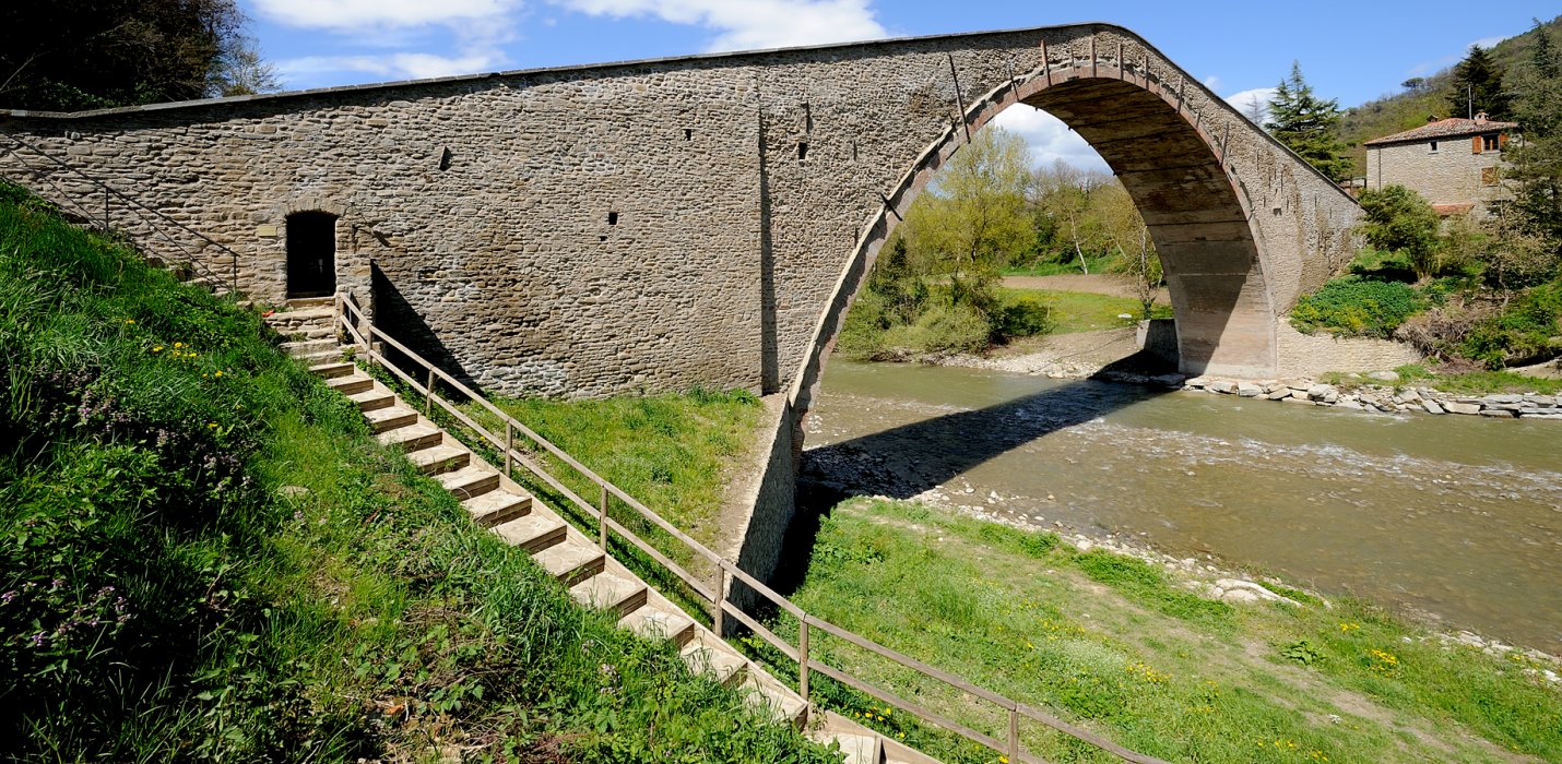 ESSERE UMANE E DOZZA