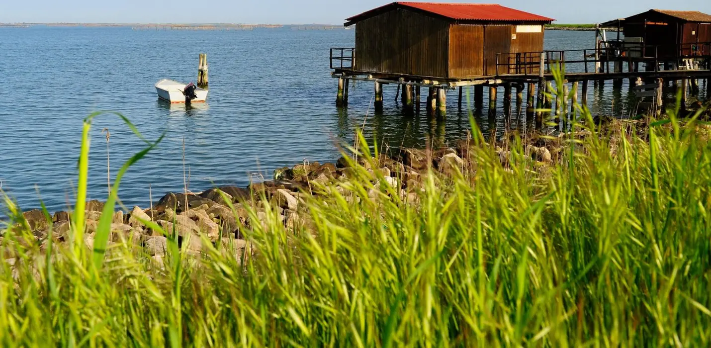 PARCO DEL DELTA DEL PO: L'OASI DI PORTO CALERI E LA GRANDE FOCE