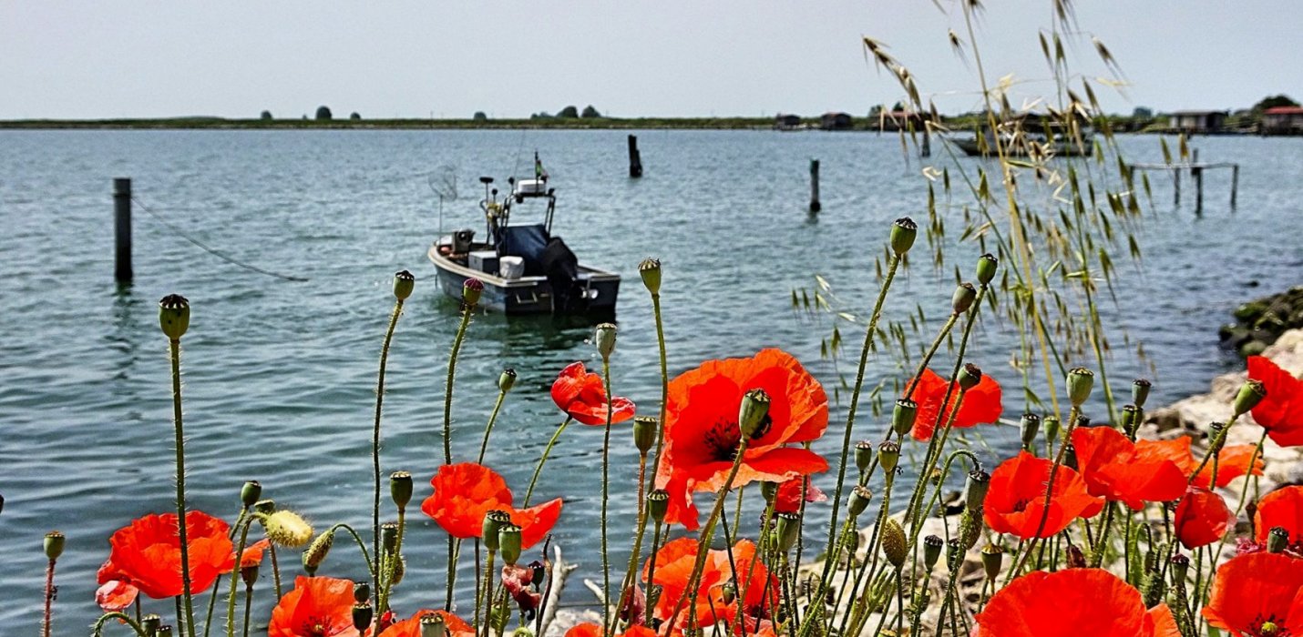LA FOCE SUD DEL DELTA DEL PO E COMACCHIO