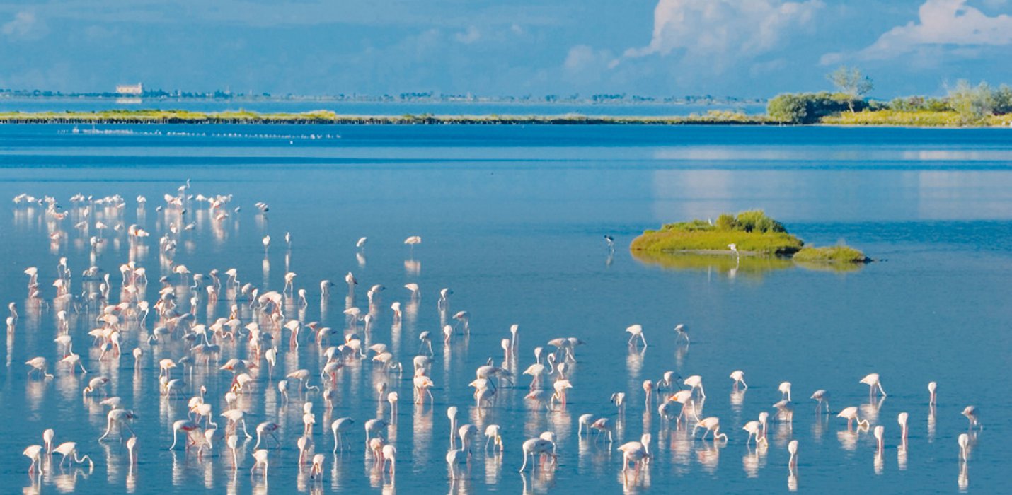 LA FOCE SUD DEL DELTA DEL PO E COMACCHIO