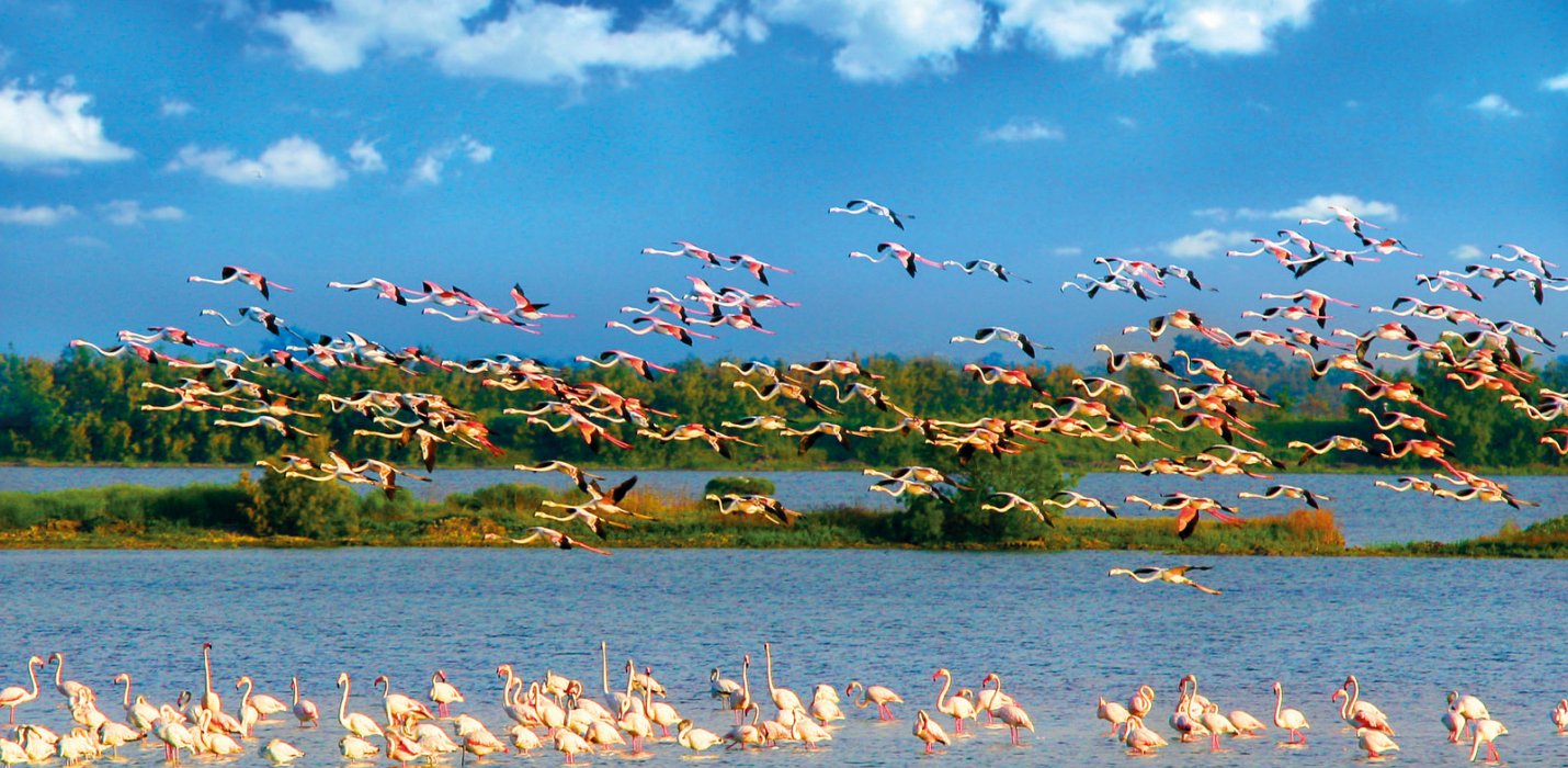 LA FOCE SUD DEL DELTA DEL PO E COMACCHIO