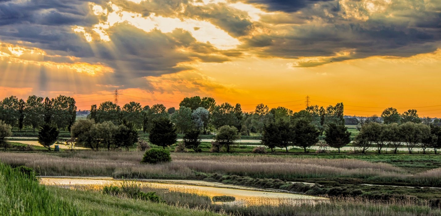PARCO DEL DELTA DEL PO: L'OASI DI PORTO CALERI E LA GRANDE FOCE PARCO DEL DELTA DEL PO: L'OASI DI PORTO CALERI E LA GRANDE FOCE