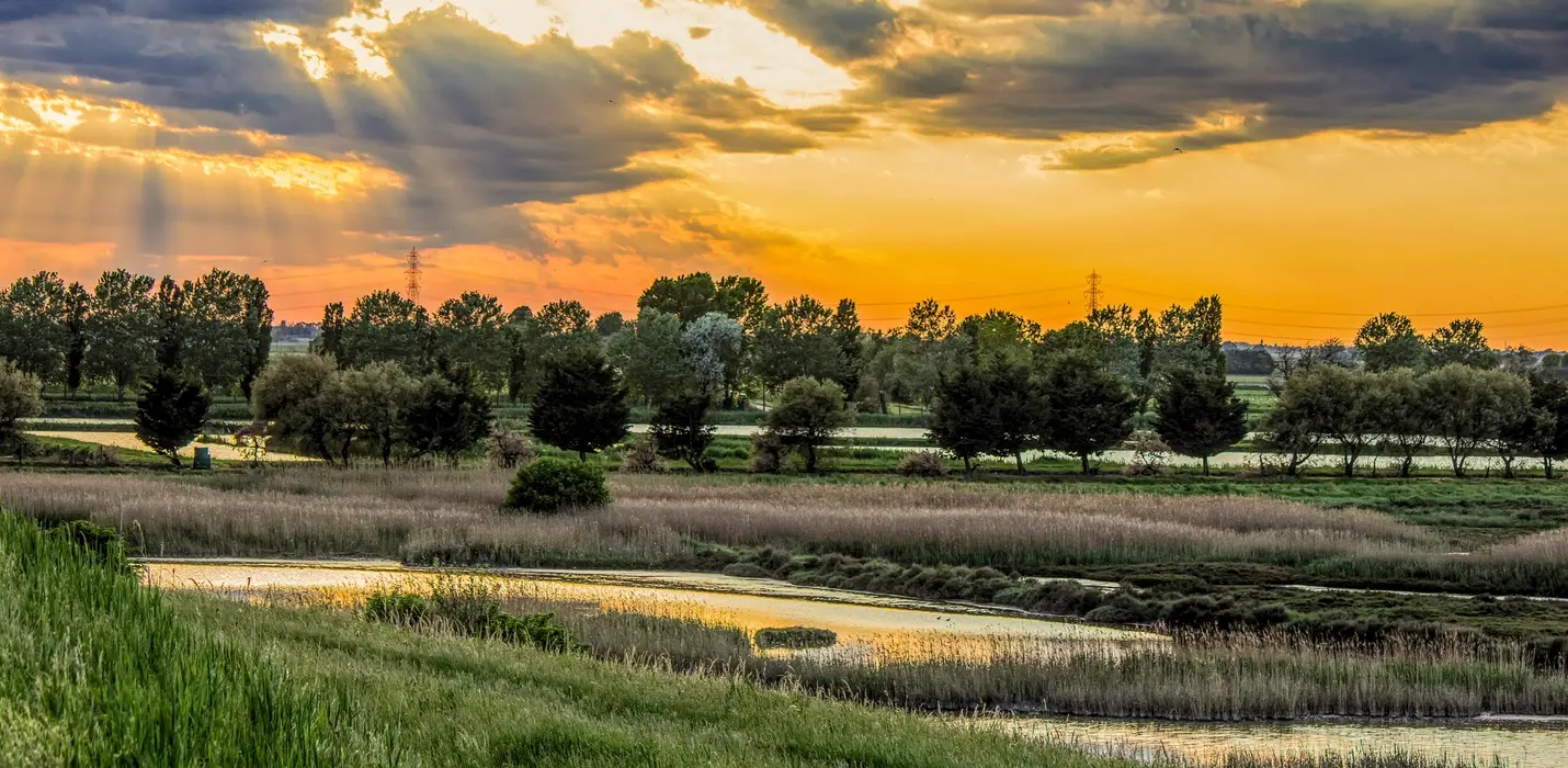 PARCO DEL DELTA DEL PO: L'OASI DI PORTO CALERI E LA GRANDE FOCE