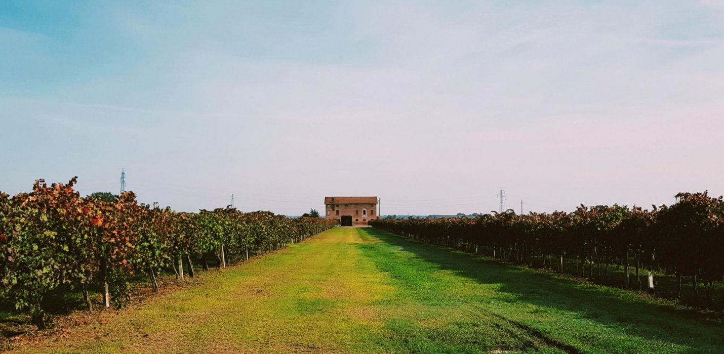 MODENA, CANTINE E ACETAIE MODENA, CANTINE E ACETAIE