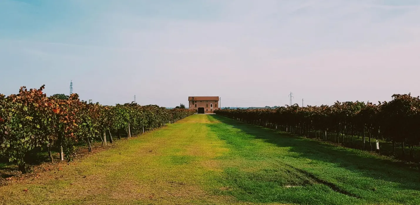 MODENA, CANTINE E ACETAIE