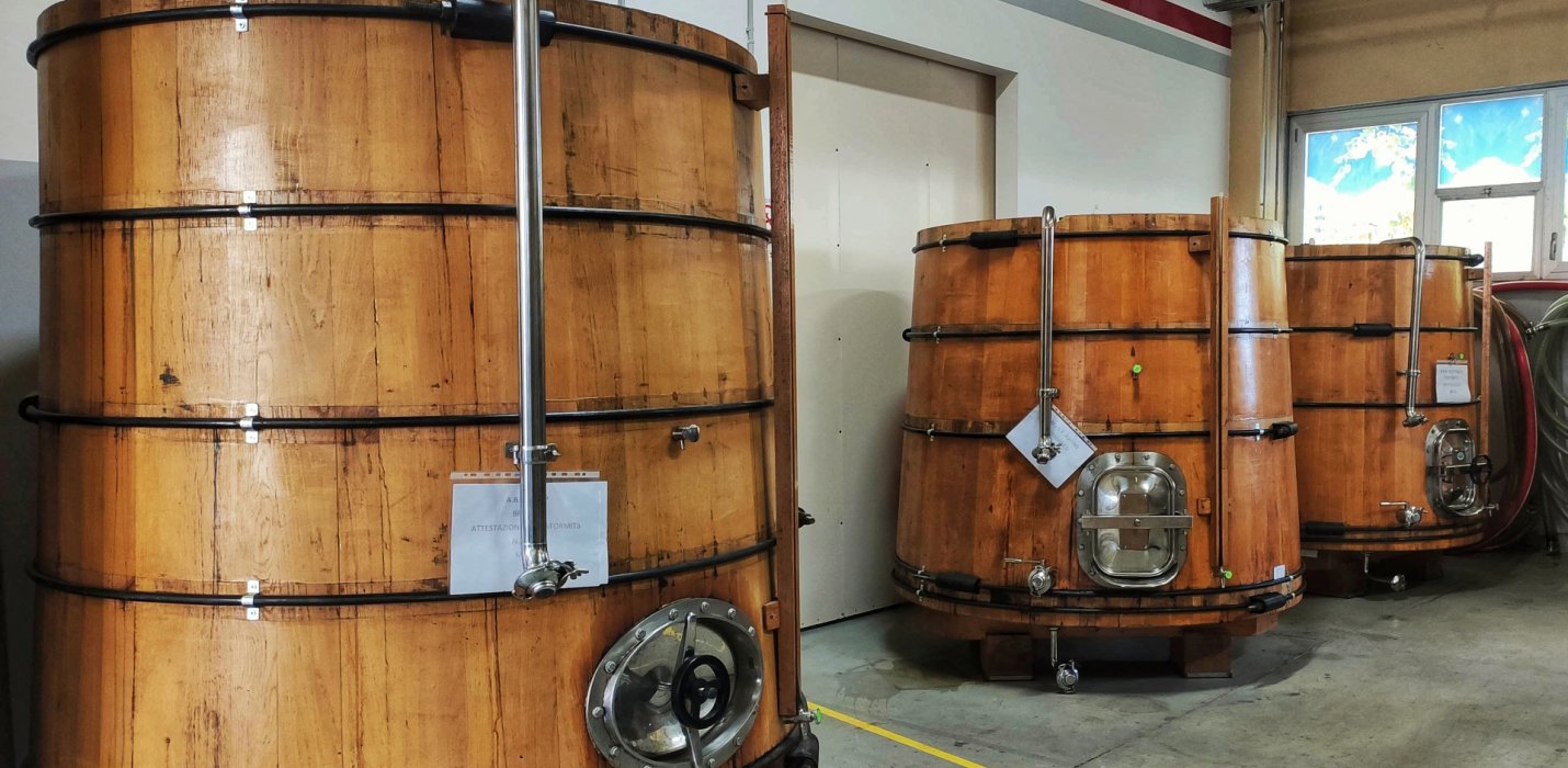 MODENA, CANTINE E ACETAIE MODENA, CANTINE E ACETAIE