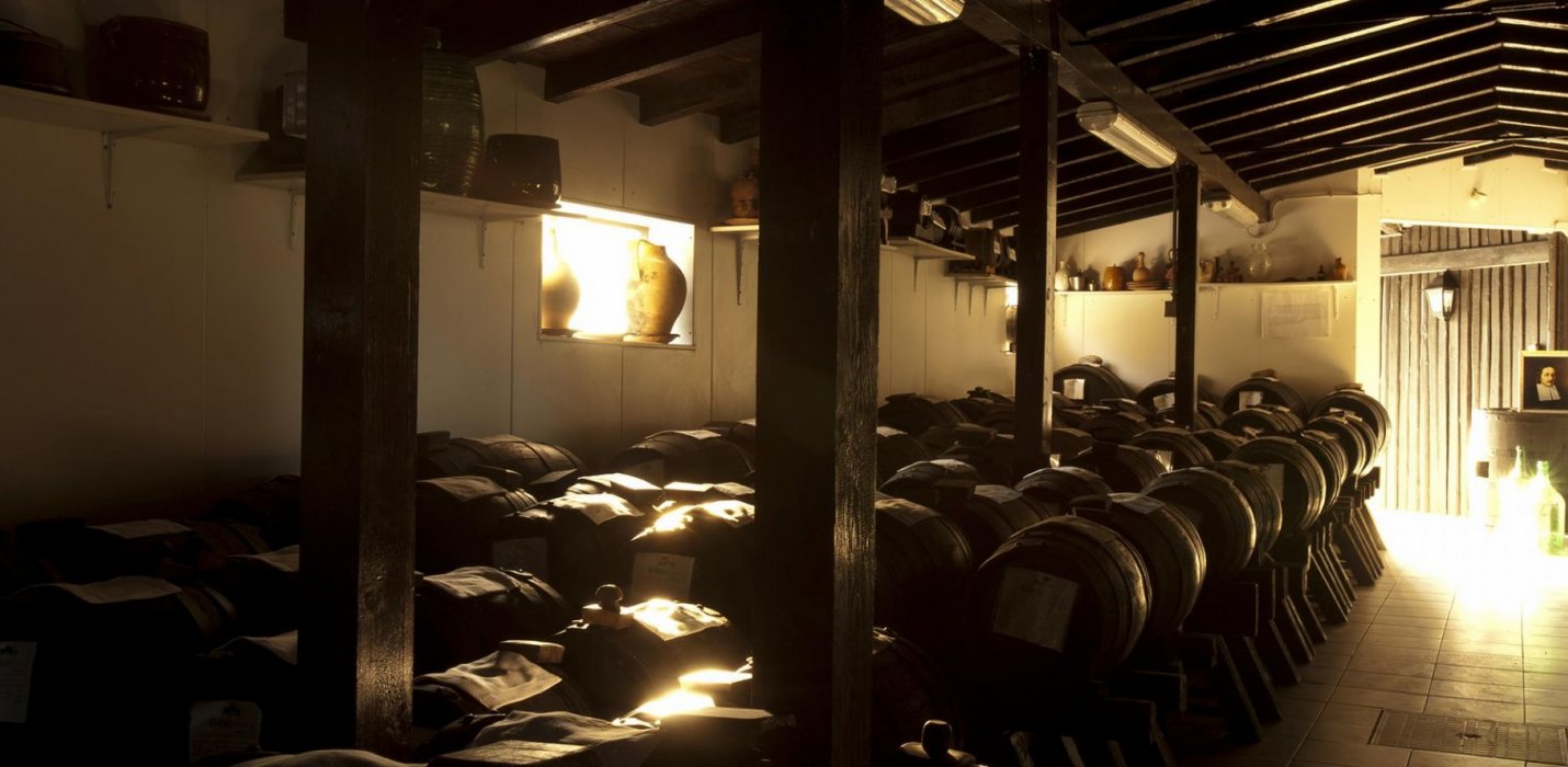 MODENA, CANTINE E ACETAIE MODENA, CANTINE E ACETAIE