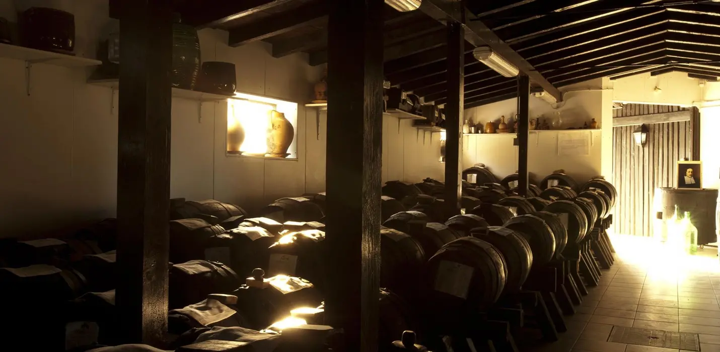 MODENA, CANTINE E ACETAIE