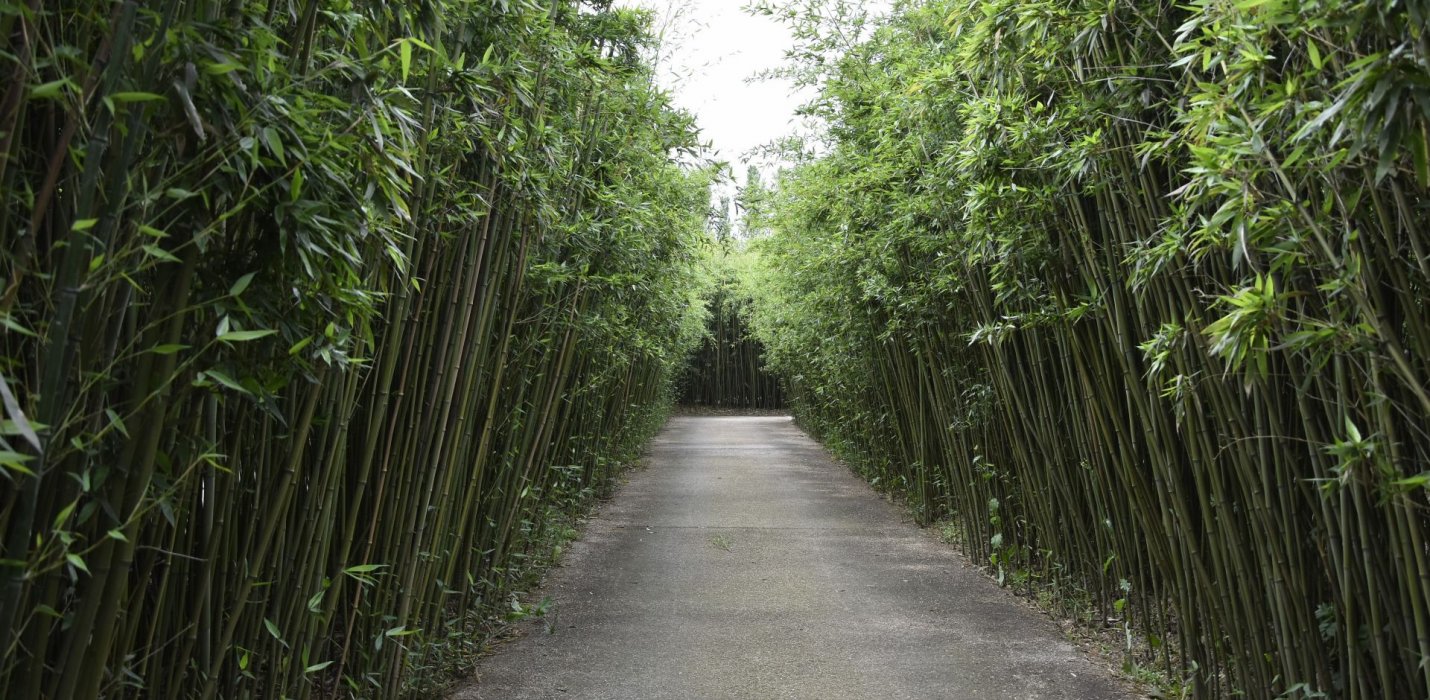 FONTANELLATO E IL LABIRINTO DELLA MASONE