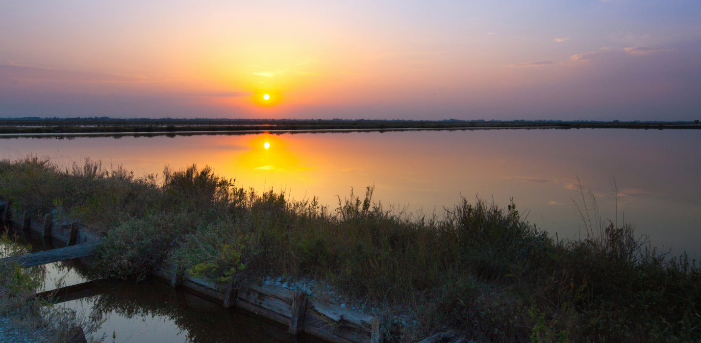 MOSTRA DI FORLI E APERICENA  ALLE SALINE DI CERVIA