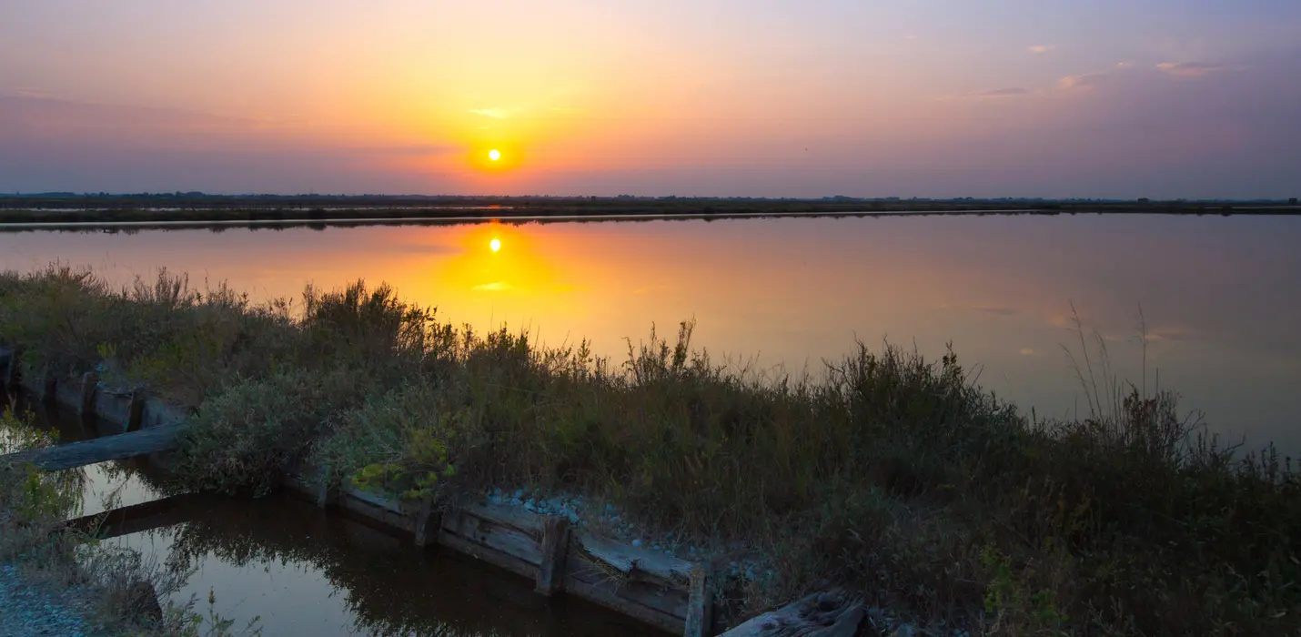 MOSTRA DI FORLI E APERICENA  ALLE SALINE DI CERVIA