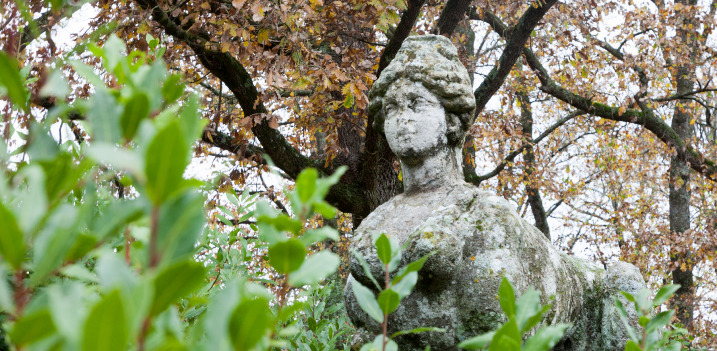 VITERBO E BOMARZO