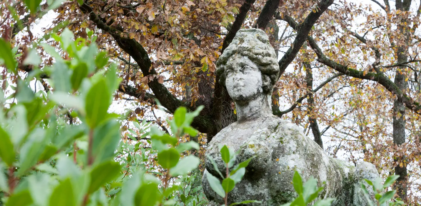 VITERBO E BOMARZO