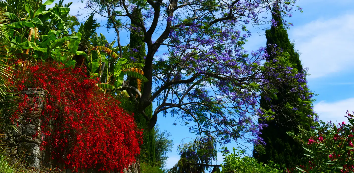 NIZZA, MONTECARLO, DOLCEACQUA, SANREMO E LA RIVIERA DEI FIORI