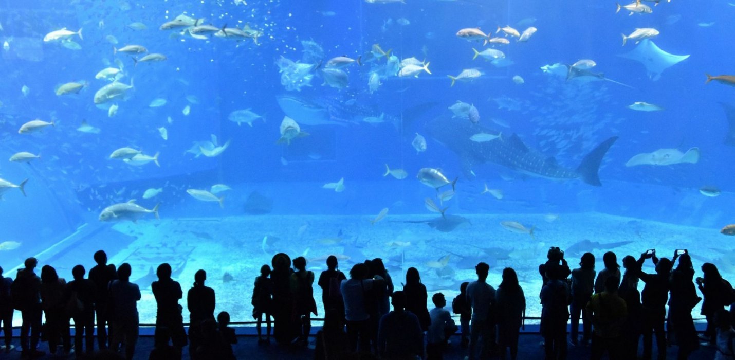 GENOVA: EUROFLORA, ACQUARIO, PALAZZO REALE