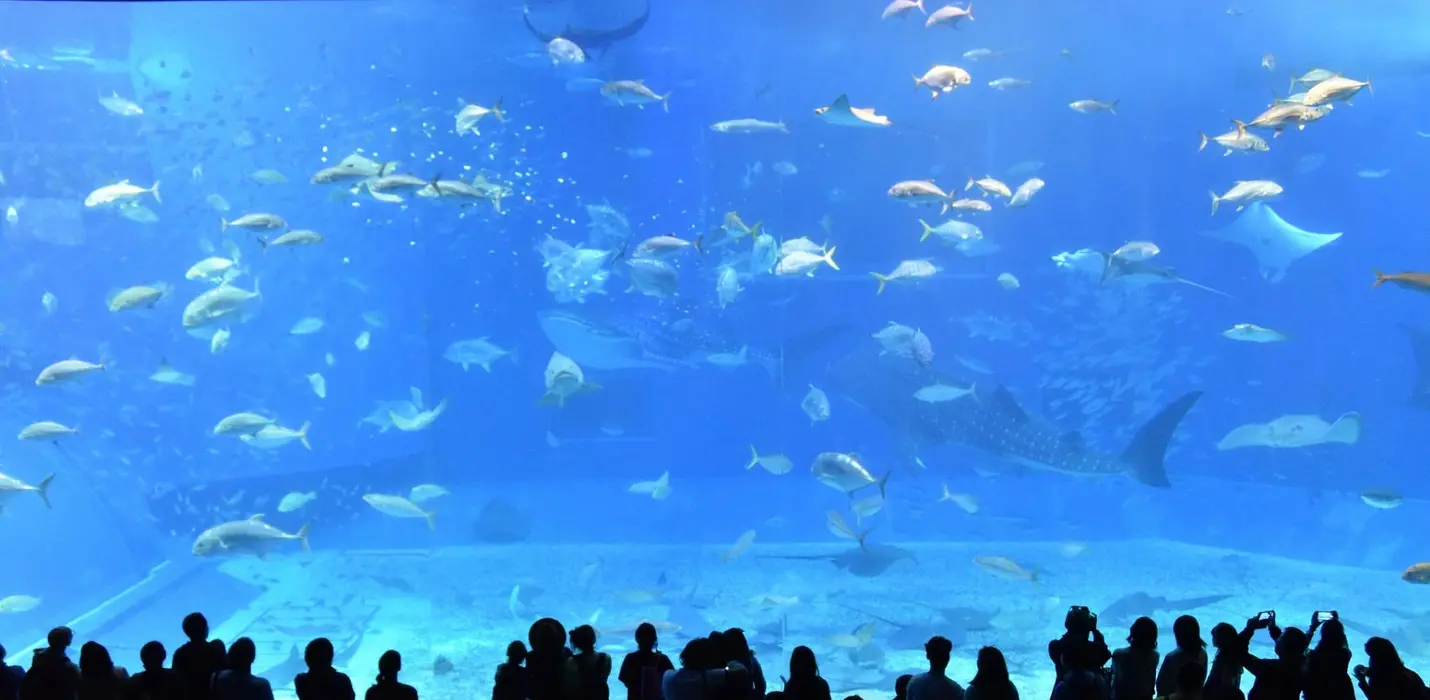 GENOVA: EUROFLORA, ACQUARIO, PALAZZO REALE