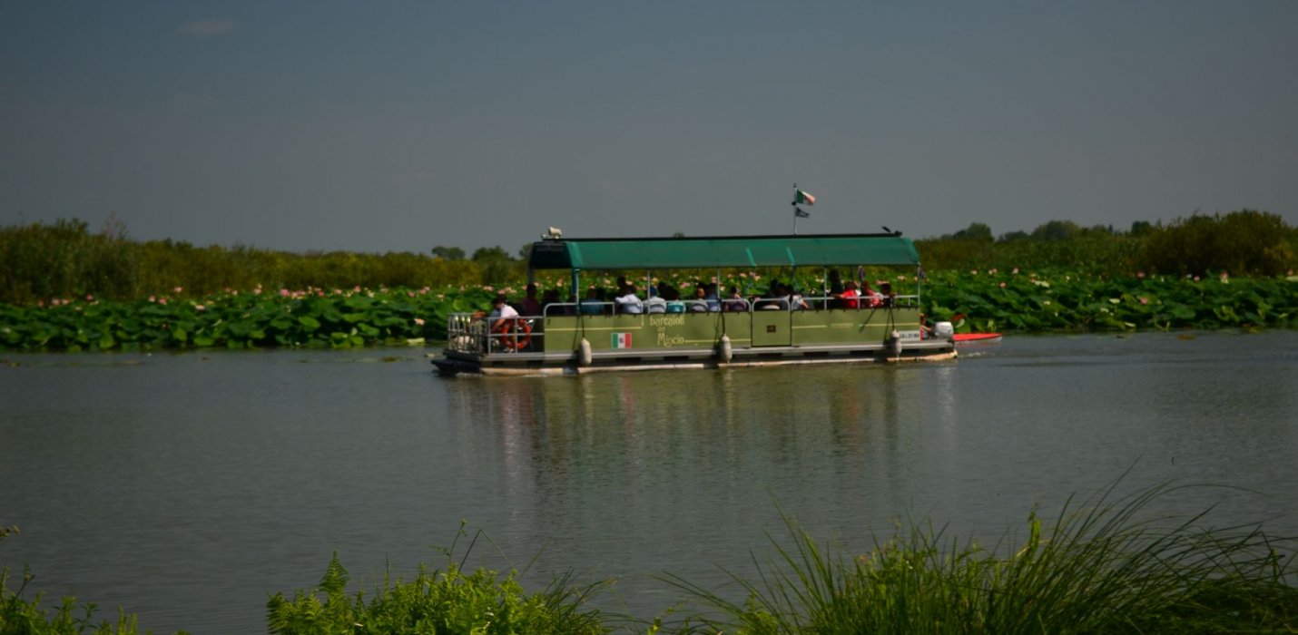 FIORI DI LOTO E REGGIA DI COLORNO FIORI DI LOTO E REGGIA DI COLORNO
