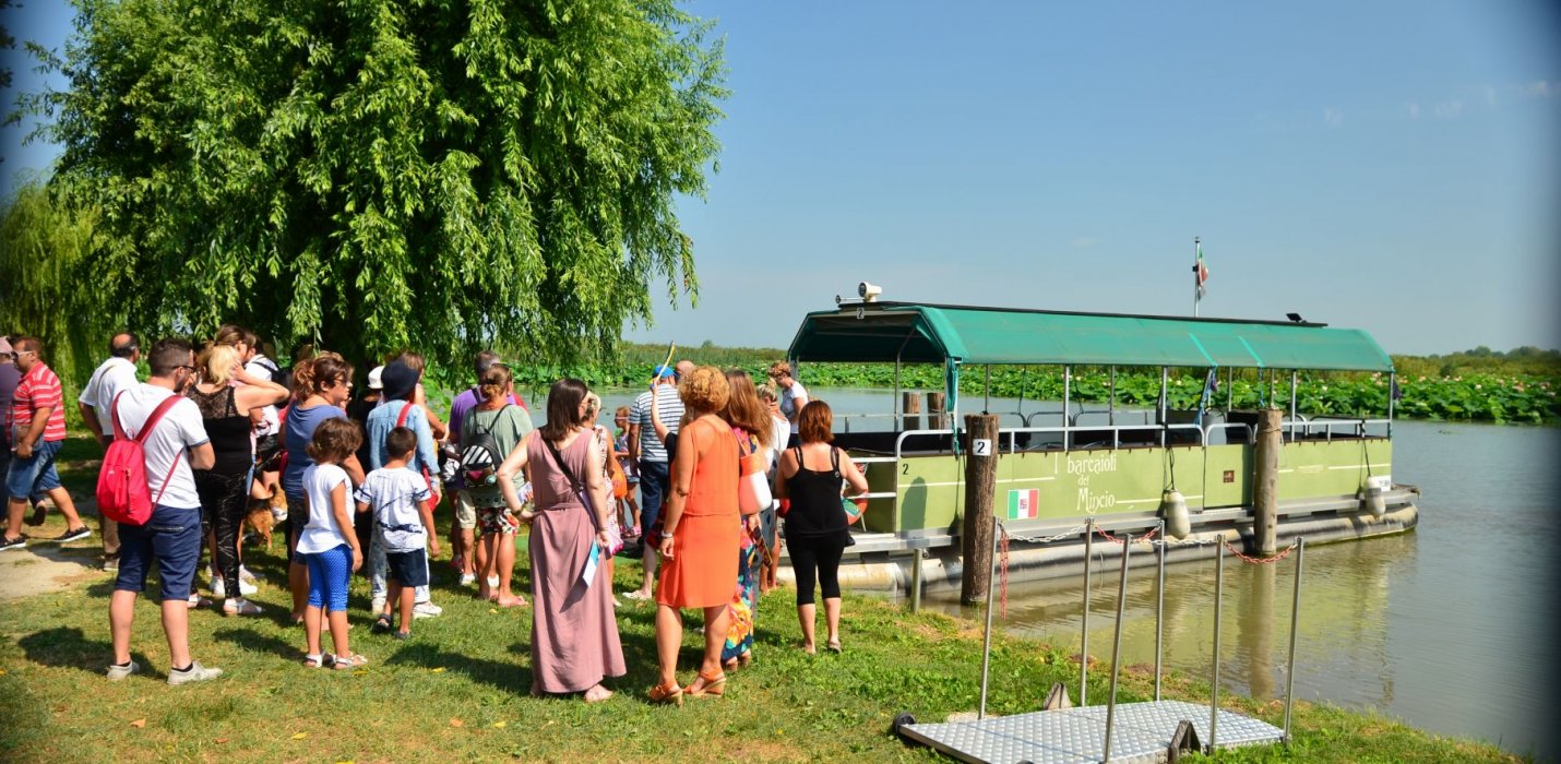 FIORI DI LOTO E REGGIA DI COLORNO FIORI DI LOTO E REGGIA DI COLORNO