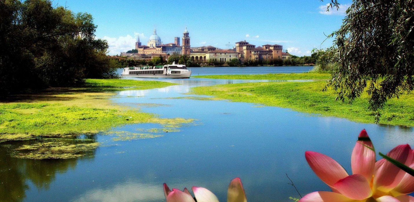FIORI DI LOTO E REGGIA DI COLORNO FIORI DI LOTO E REGGIA DI COLORNO