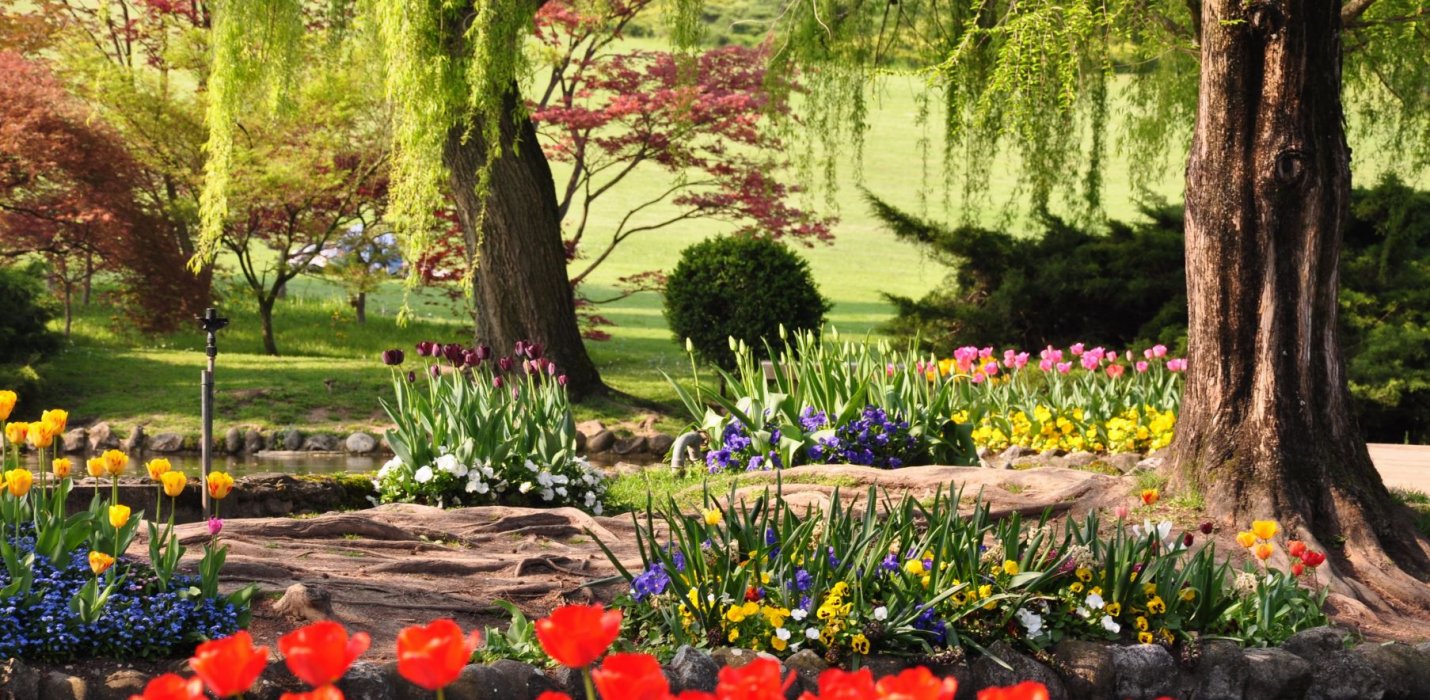 TULIPANOMANIA A PARCO SIGURTA' TULIPANOMANIA A PARCO SIGURTA'