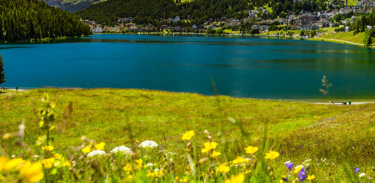 IL BERNINA E LA VALTELLINA IL BERNINA E LA VALTELLINA