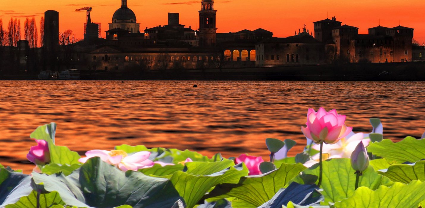 FIORI DI LOTO,  APERICENA  E TRAMONTO SU MANTOVA