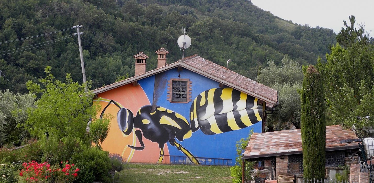 IL BOSCO DI CANFAITO E I MURALES DI BRACCANO