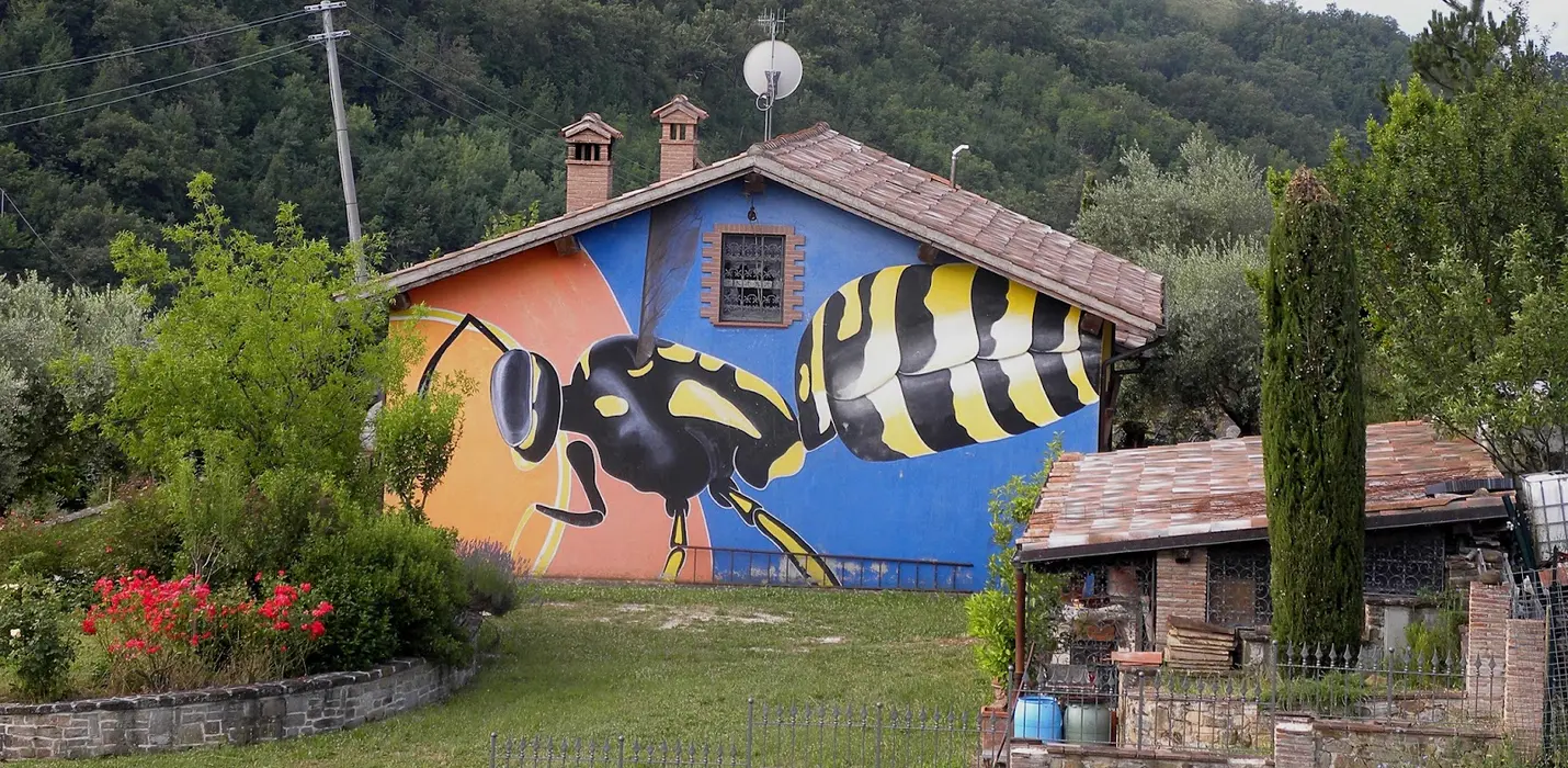 IL BOSCO DI CANFAITO E I MURALES DI BRACCANO