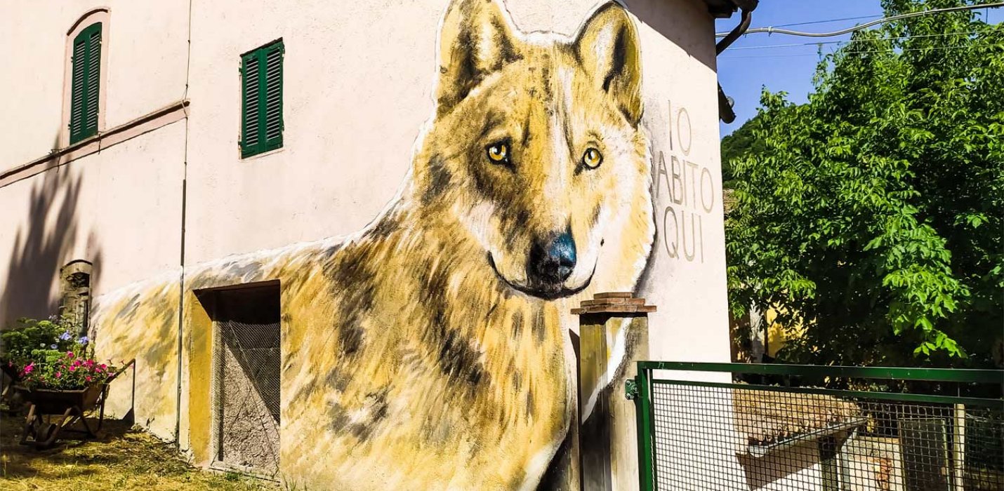 IL BOSCO DI CANFAITO E I MURALES DI BRACCANO