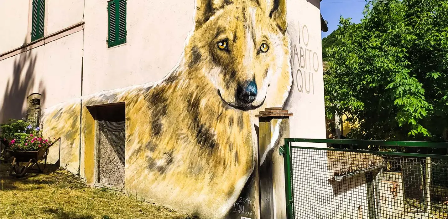 IL BOSCO DI CANFAITO E I MURALES DI BRACCANO