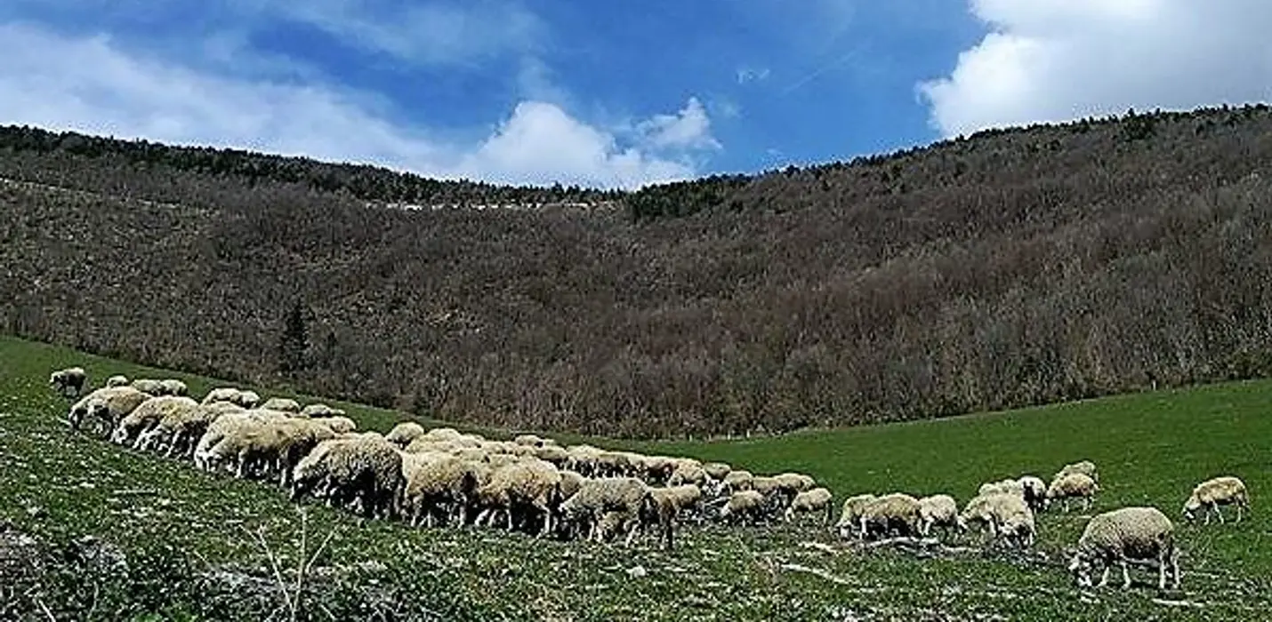 VALDICASTRO E CANFAITO AL TRAMONTO