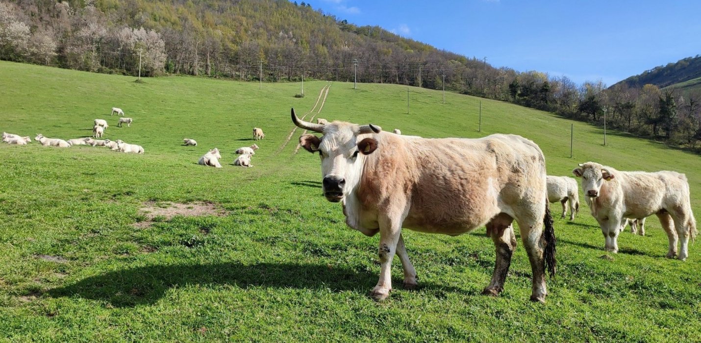 VALDICASTRO E CANFAITO AL TRAMONTO VALDICASTRO E CANFAITO AL TRAMONTO