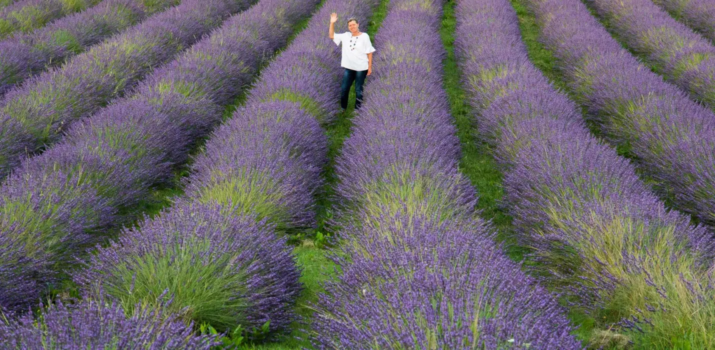 FIORITURE DI CASTELLUCCIO E CORINALDO